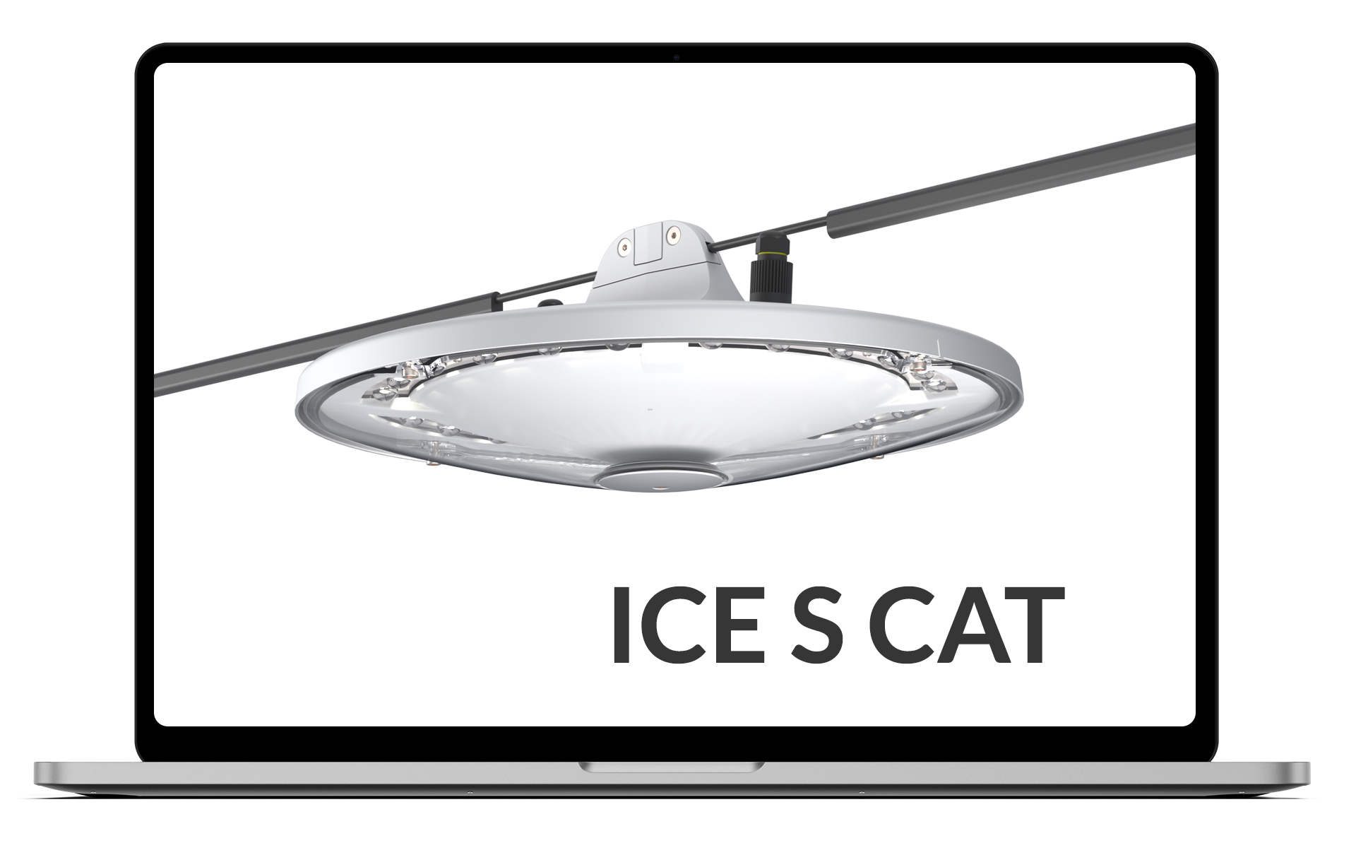 Ice S Cat